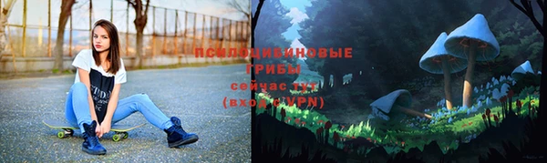 молекула духа Алексин