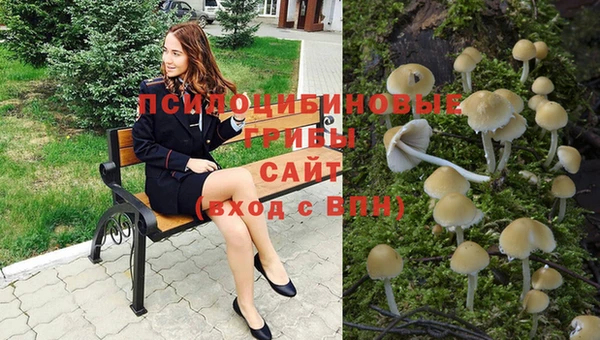 дживик Алзамай