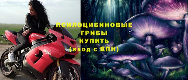 дживик Алзамай