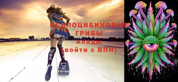 молекула духа Алексин