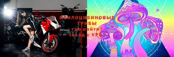 молекула духа Алексин