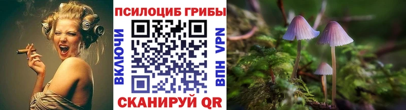 Псилоцибиновые грибы мицелий Белгород