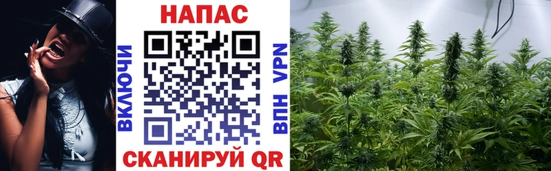наркотики  Белгород  нарко площадка официальный сайт  Канабис ГИДРОПОН 